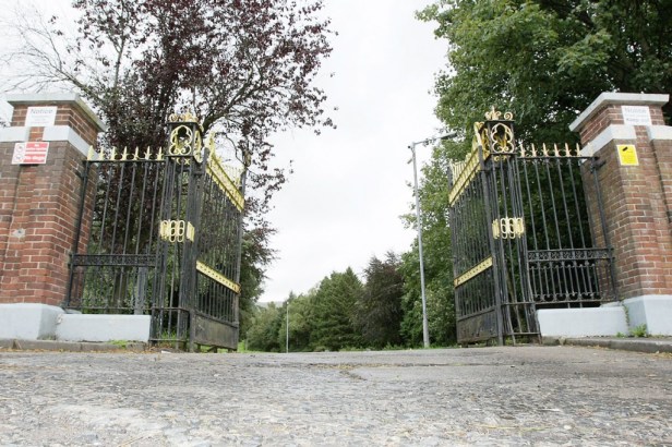 St.Patricks-Home-379mj11-1024x682